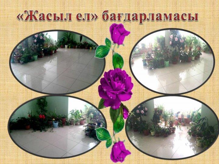 Мектеп галереясы